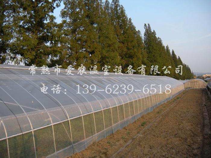 109