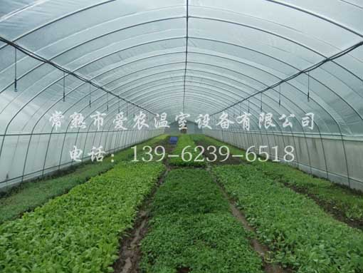 KING 寬牌 塑料撲克 賭場牌 63x88mm