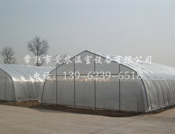 TEXAS HOLEES塑料寬牌 賭場撲克 紅藍色款